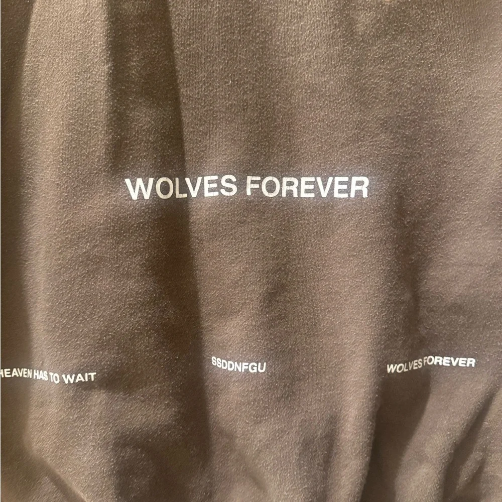 Darc Sport Brown Oversized Graphic Hoodie - Picture 6 of 8